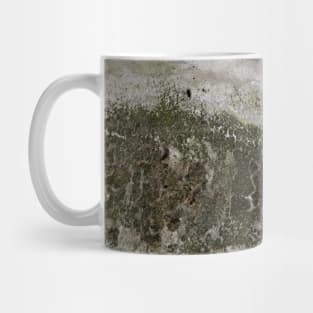 A mossy wall Mug